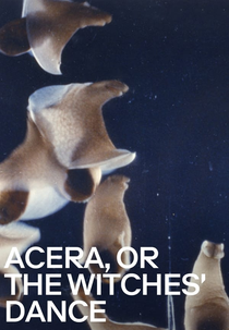 Acera, or The Witches’ Dance (Acéra ou Le bal des sorcières)