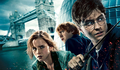MARATONA HARRY POTTER: parece mentira, mas é pura magia!
