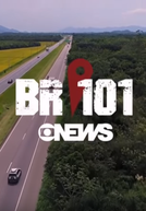 BR-101: Uma Rodovia de Muitos "Brasis"