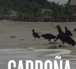 Carroña
