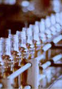 America on the Rocks (America on the Rocks)