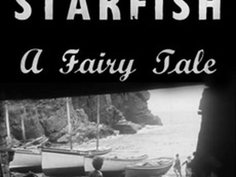 Foto 3 de The Starfish