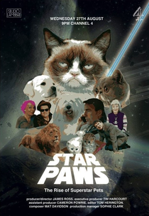 Pequenas Celebridades de Quatro Patas (Star Paws: The Rise of the Superstar Pets)