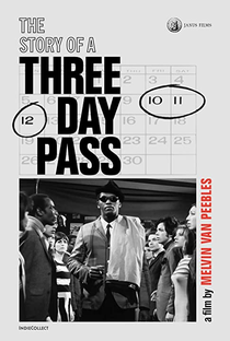 The Story of a Three Day Pass - Poster / Capa / Cartaz - Oficial 2
