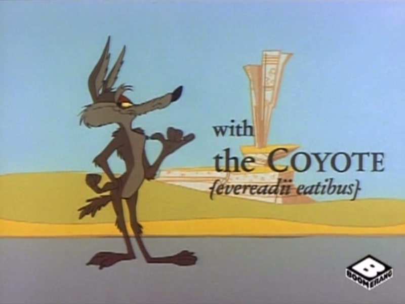 Foto 5 de Coyote Expresso