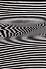 Black/White/Text (Black/White/Text)