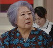 41회