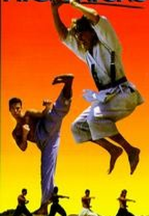 Audacioso e Imbatível (High Kicks)