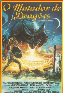 O Dragão e o Feiticeiro - Poster / Capa / Cartaz - Oficial 4