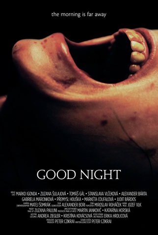 Poster 1 de Curta Good Night (2013)