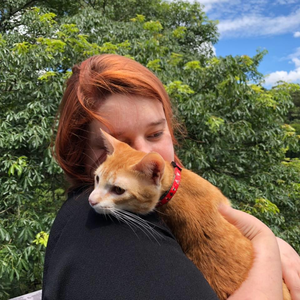 Foto de perfil de Suellen Haubrick