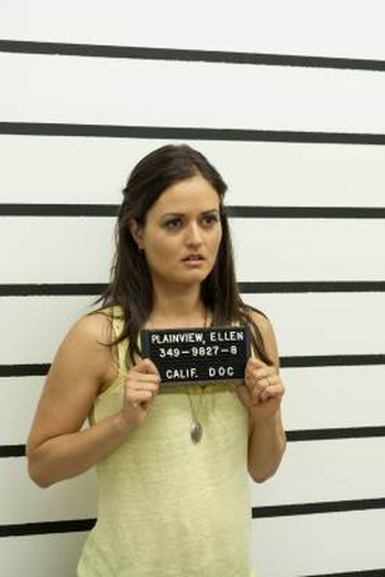  de Filme A Mulher Errada (2013)