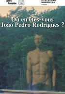 Onde está agora, João Pedro Rodrigues? (Où en êtes-vous, João Pedro Rodrigues?)