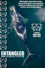 Baleias Enredadas (Entangled: The Race to Save Right Whales from Extinction)