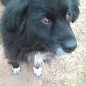 Foto de perfil de Asia