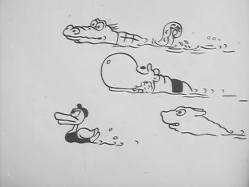 Foto 1 de Nade, Macaco, Nade!