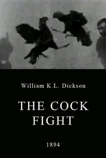The Cock Fight - Poster / Capa / Cartaz - Oficial 1