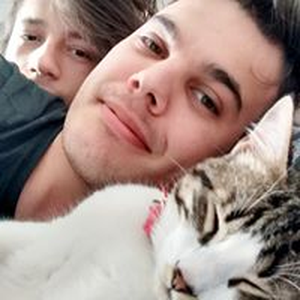 Foto de perfil de Lincoln
