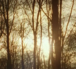Aspect
