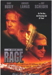 Caçador Implacável (The Rage)