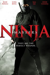 Ninja Masters - Poster / Capa / Cartaz - Oficial 2