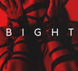 Bight