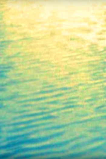 Poster de Curta Trip to Carolee (1973)