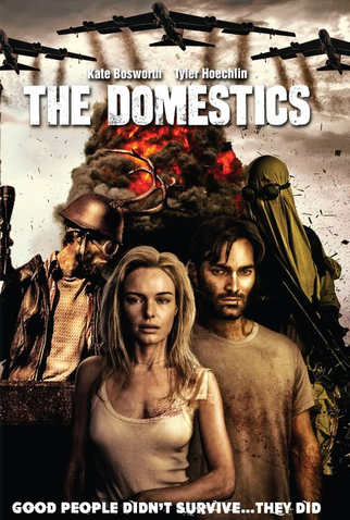 Poster 6 de Filme Os Domésticos (2018)