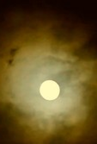 Poster 1 de Curta Kruk (2013)