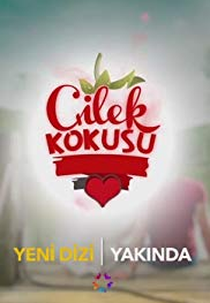 Aroma de Morango (Çilek Kokusu)