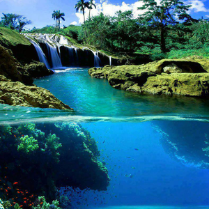 Foto de perfil de Sofia