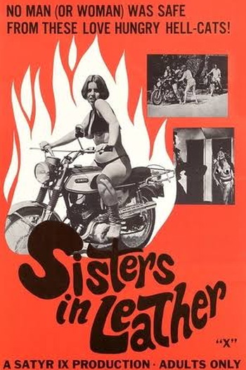 Poster de Filme Sisters in Leather (1969)