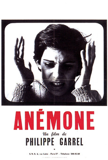 Anémone - Poster / Capa / Cartaz - Oficial 1
