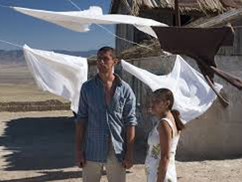 Foto 6 de Dikoe pole    ( Wild Field )