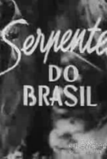 Serpentes do Brasil - Poster / Capa / Cartaz - Oficial 1