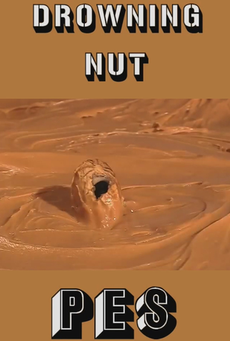 Poster 1 de Curta Drowning Nut (2009)