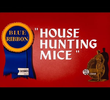 House Hunting Mice