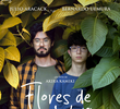 Flores de Verão