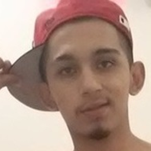 Foto de perfil de NETO