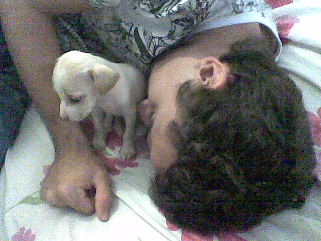 gostozao - Foto 4