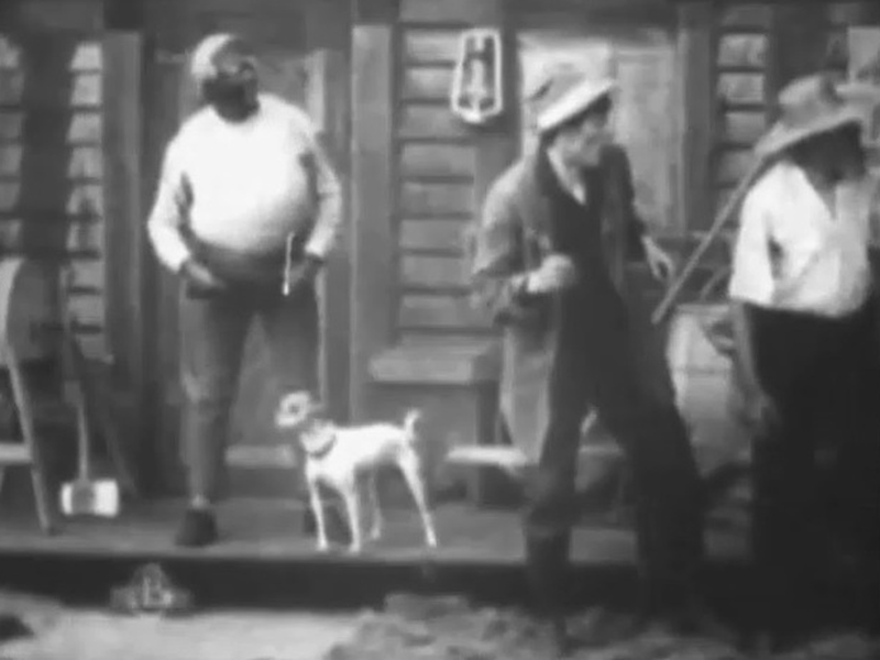 Foto 6 de Balked at the Altar