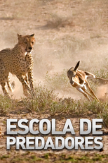 Escola de Predadores (Escola de Predadores)