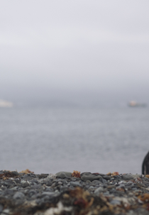 Sanctuary (Sanctuary)