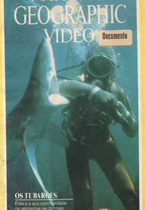 National Geographic Vídeo - Os Tubarões (National Geographic Specials: The Sharks)