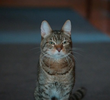 Winnifred the Wise