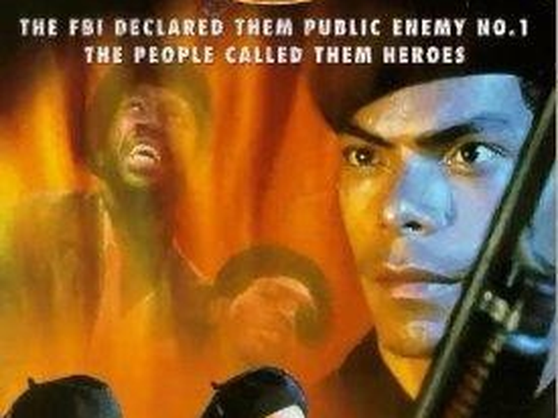 Foto 1 de Panteras Negras