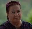 Yayla Meselesi