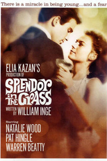 Clamor do Sexo (Splendor in the Grass)