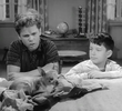 Beaver and Poncho