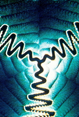 Poster 1 de Curta Spiral 5, PTL (1979)